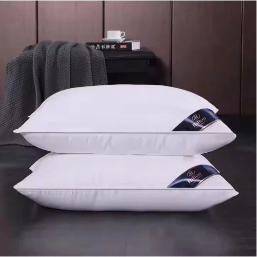 Luxury Hotel Comfort Memory Foam Pillow
